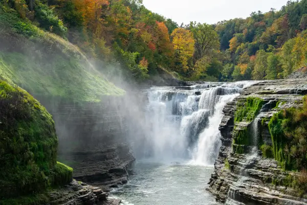 Unidade de conservação 2 blog