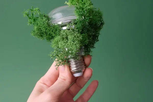 Sustentabilidade blog