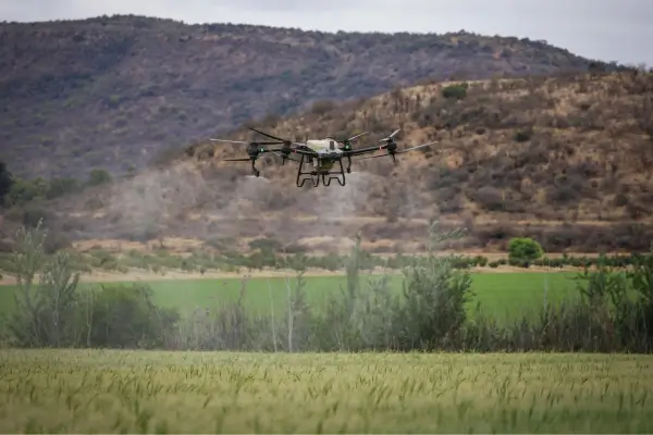 Biotecnologia na agricultura blog